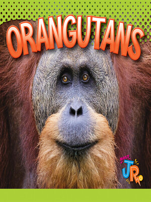 cover image of Orangutans